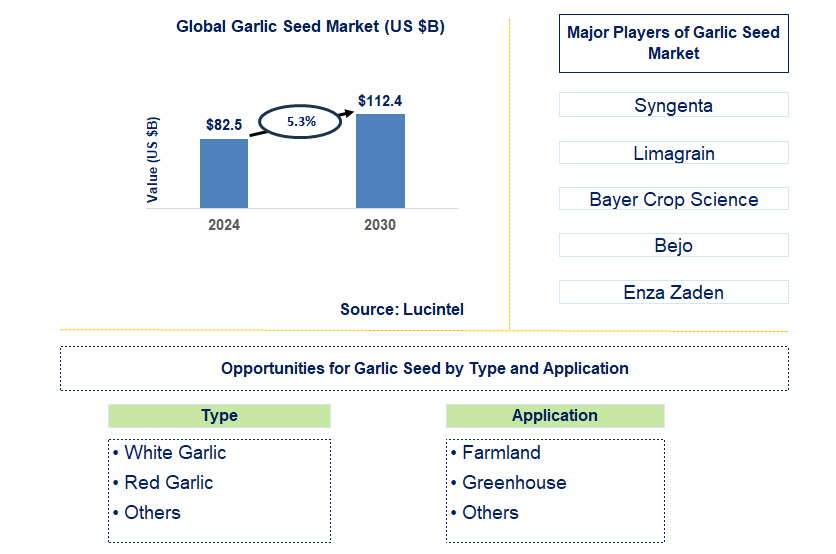 Garlic Seed Trends and Forecast